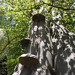 Bukowy Zdroj *