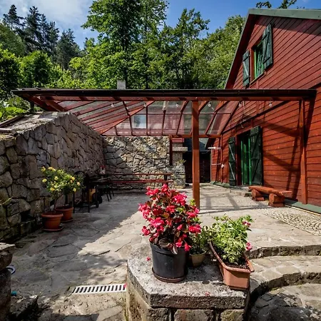 Bukowy Zdroj Krynica Zdroj