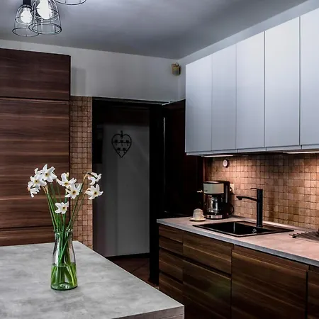 Bukowy Zdroj Tatil Evi Krynica Zdroj