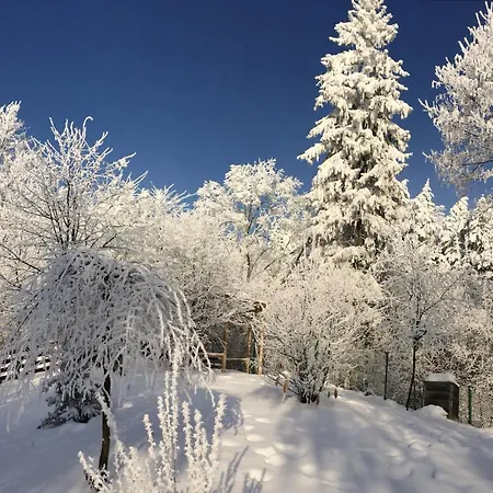 Bukowy Zdroj *