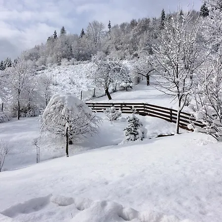 Vakantiehuis Bukowy Zdroj Krynica Zdroj