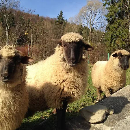 Bukowy Zdroj Vakantiehuis