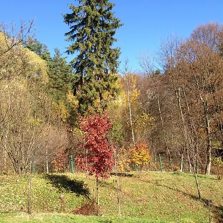 Bukowy Zdroj * Krynica Zdroj