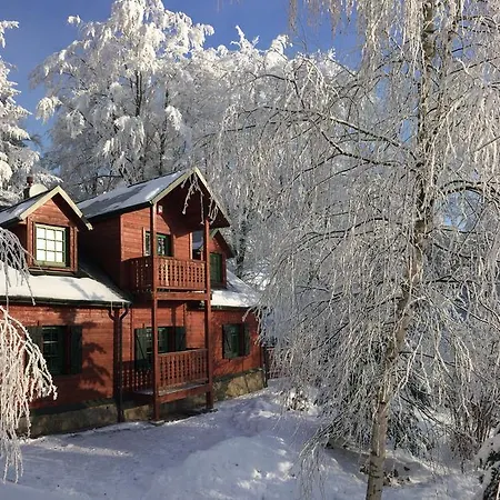 Vakantiehuis Bukowy Zdroj *